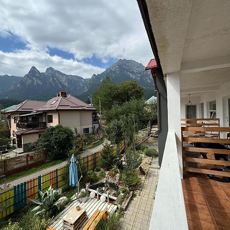 Отель Casa David Буштени Экстерьер фото