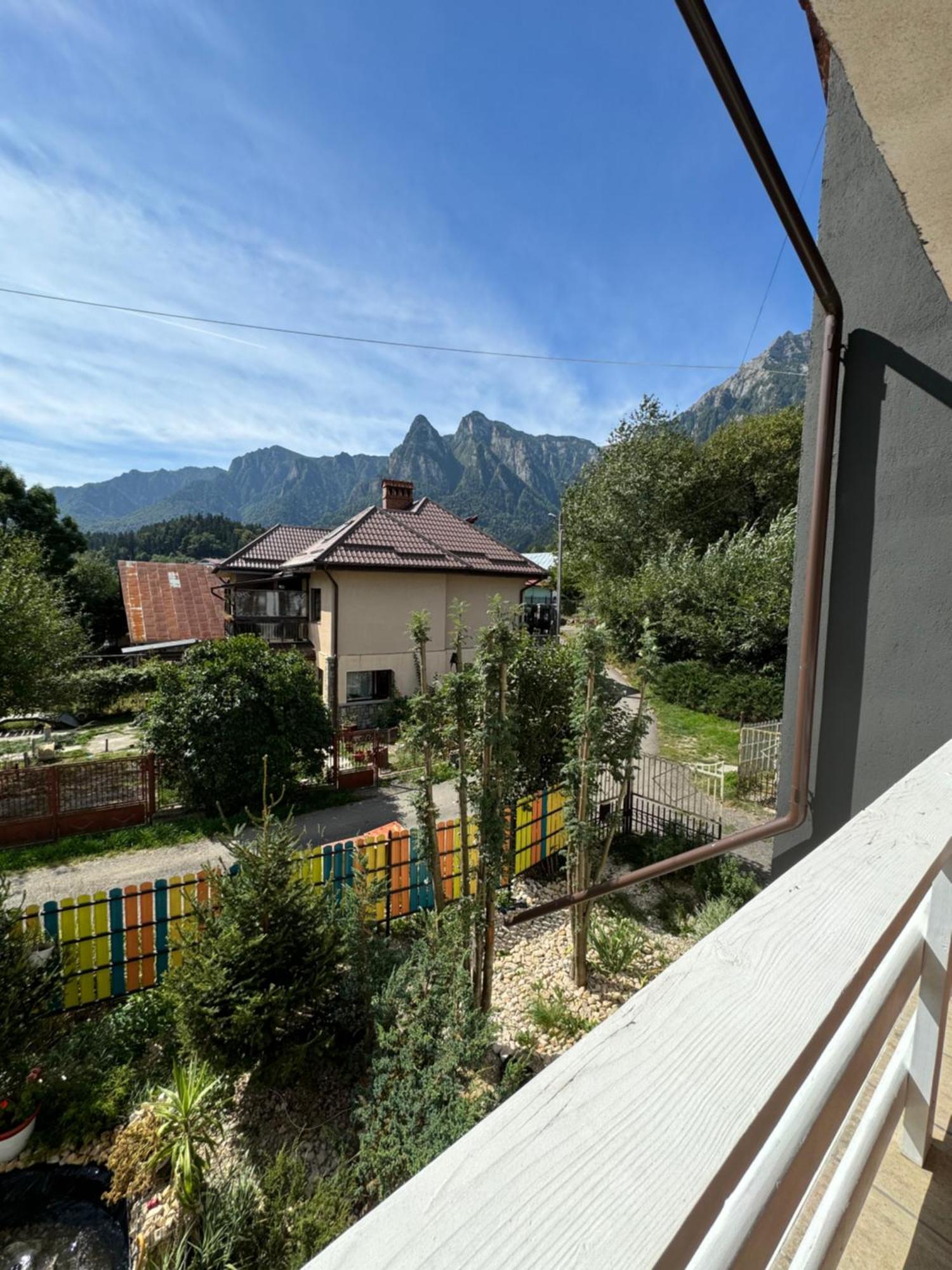 Отель Casa David Буштени Экстерьер фото