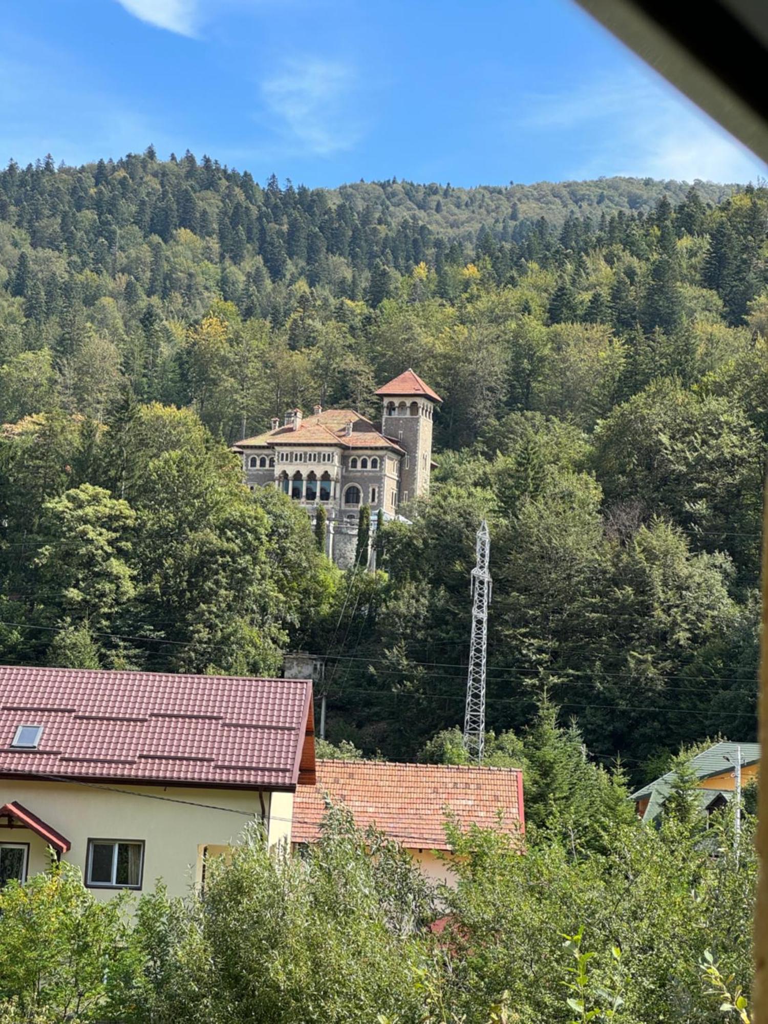 Отель Casa David Буштени Экстерьер фото