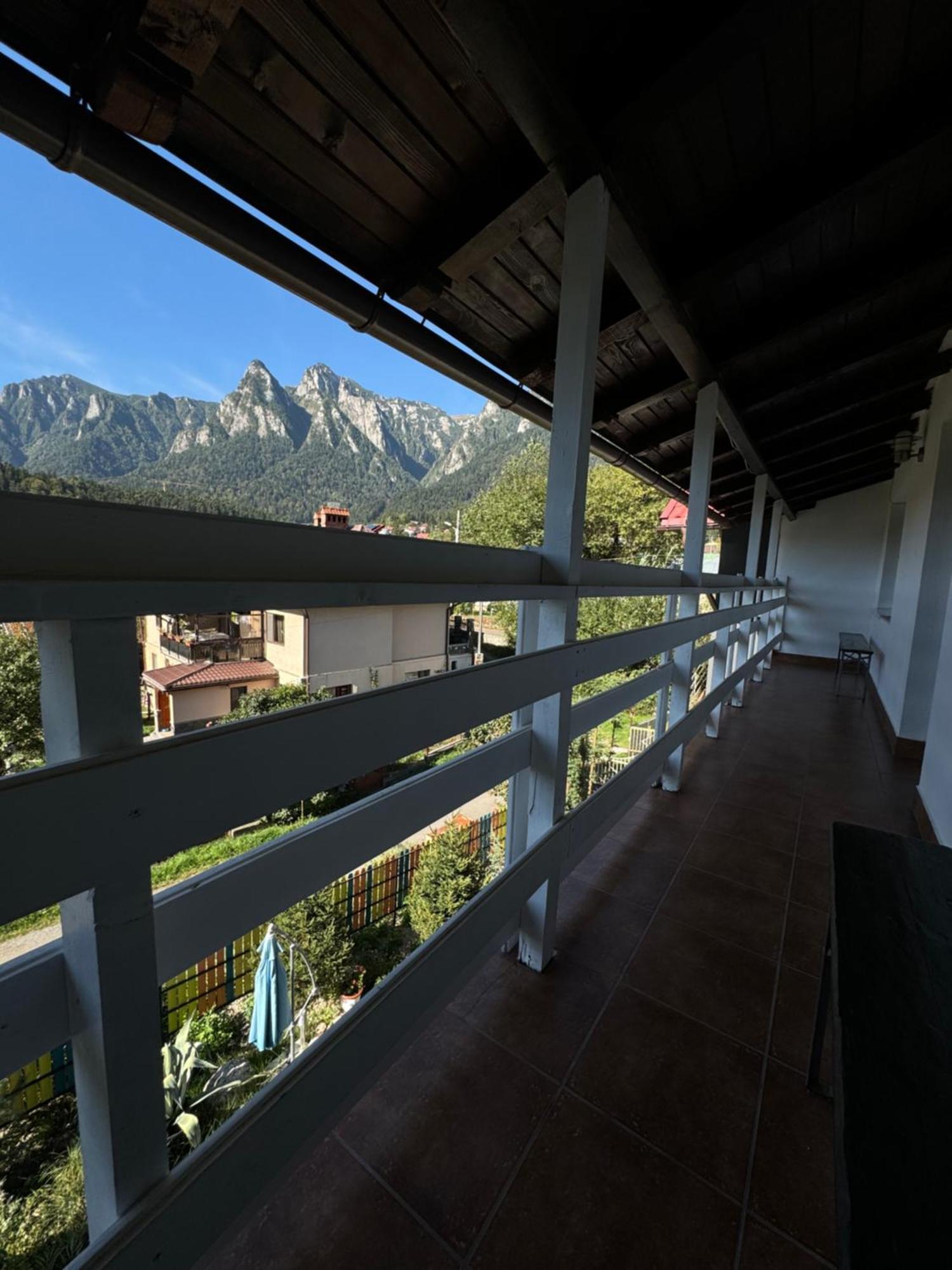Отель Casa David Буштени Экстерьер фото