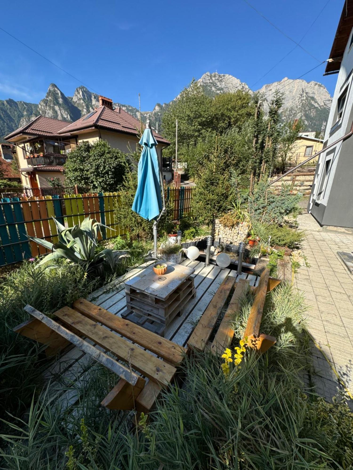 Отель Casa David Буштени Экстерьер фото